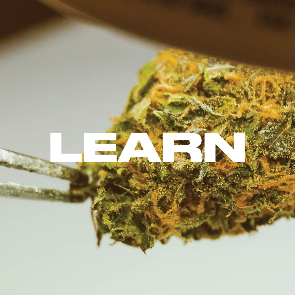 Learn | One of the four bases of G7. We grow Cannabis, we grow people. G7 Farms is dedicated to changes to negative stigma behind cannabis. We wish to help aid in the growth of cannabis and for those who need it most have easy access to the medicine.