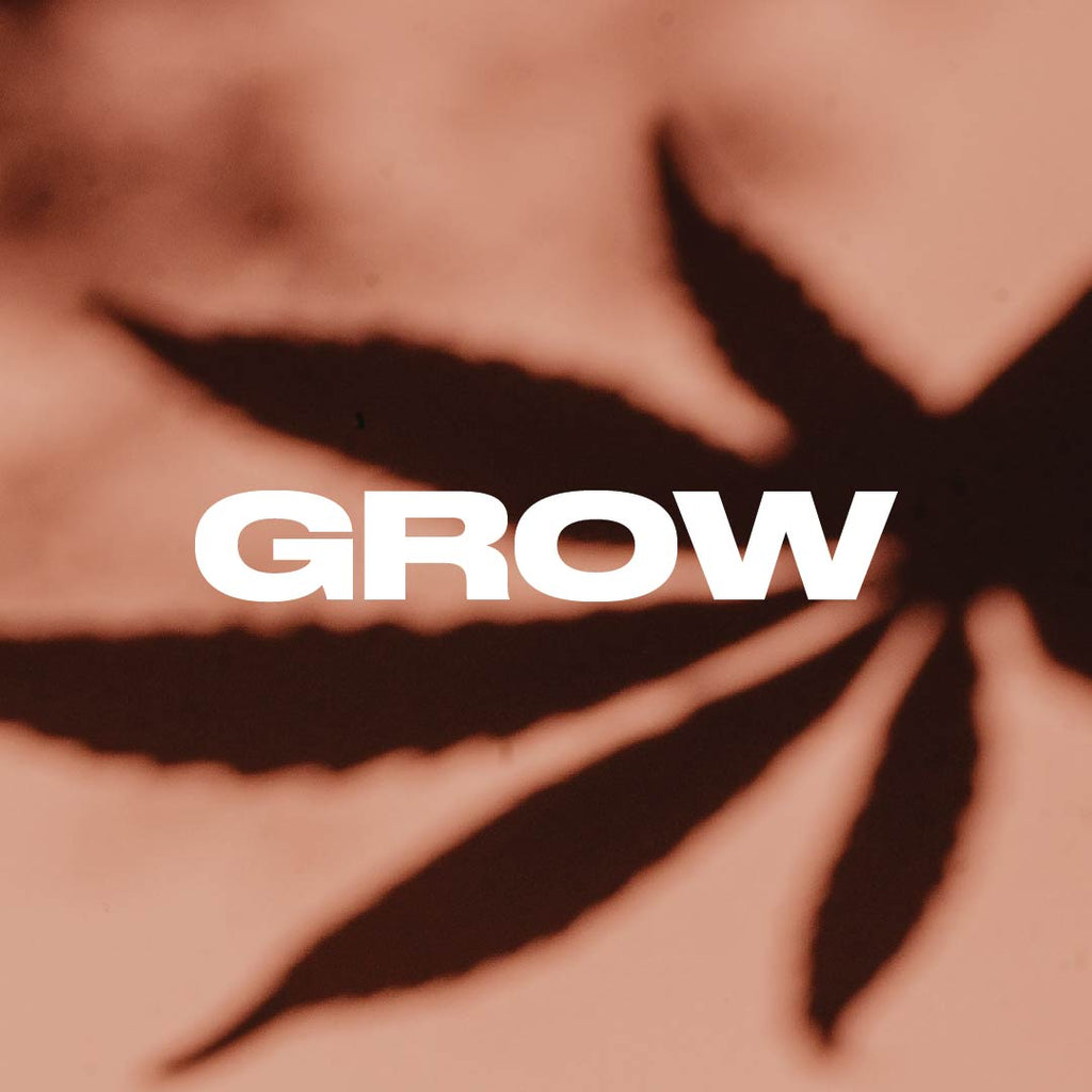 GROW | WE GROW CANNABIS, WE GROW COMMUNITIES. FIND OUT HOW YOU CAN GROW YOUR BRAND OR BUSINESS WHILE JOINING THE PLANT THE SEED INITIATIVE. TOGETHER WE CAN HELP GROW OUR COMMUNITIES AND ONE ANOTHER. 